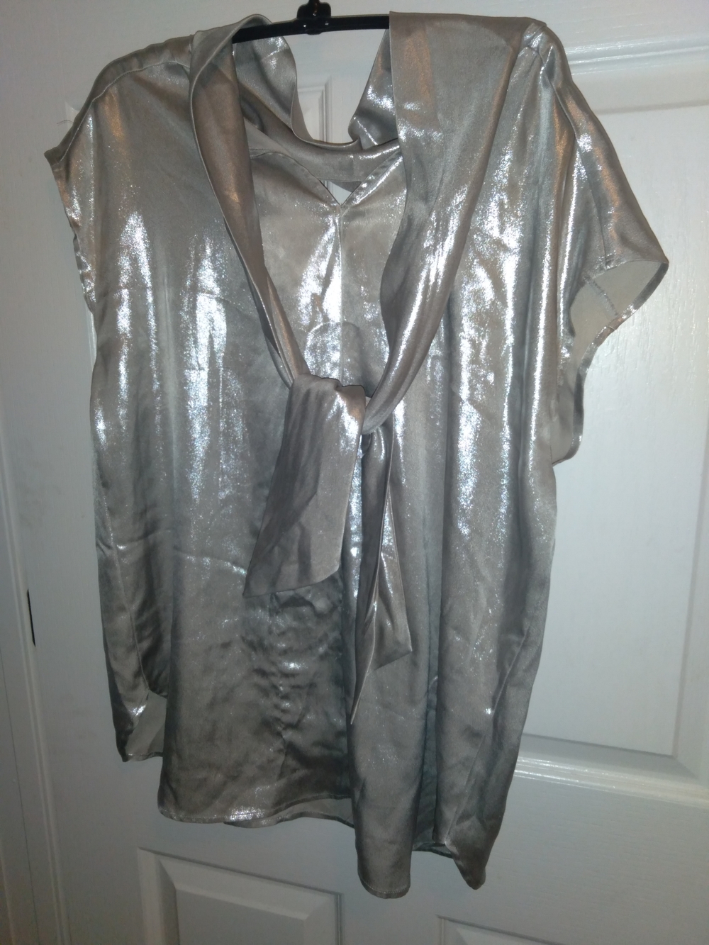 Metallic Silver V Neck With Tie-Neck Top